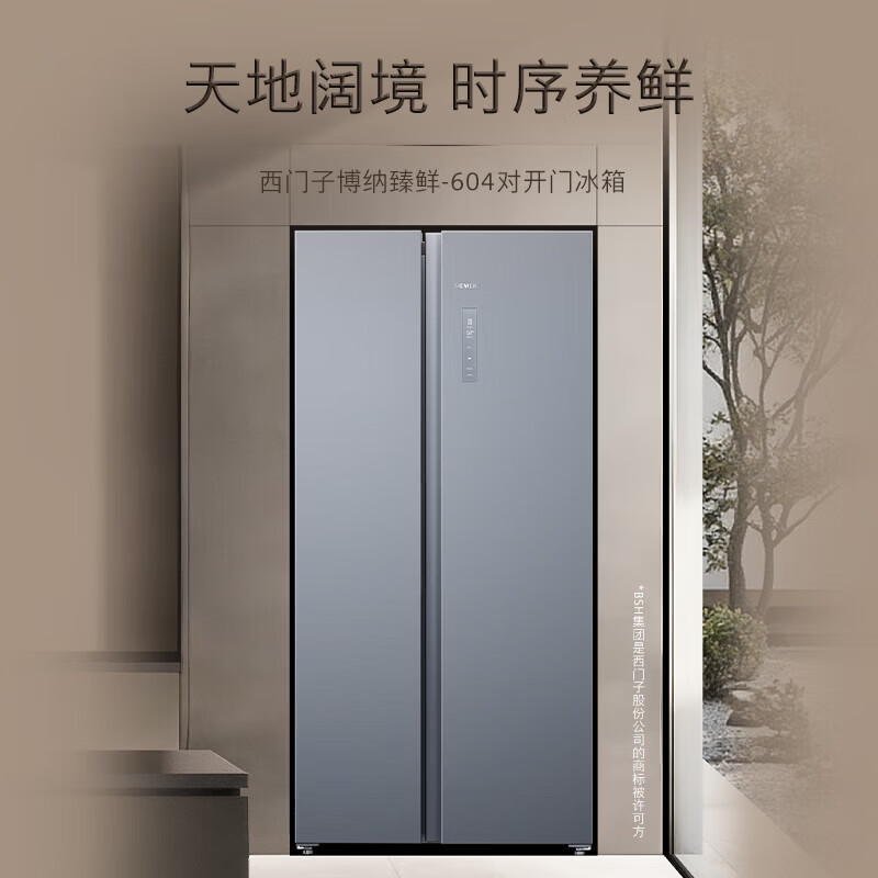 西门子KA98CE161C冰箱图片