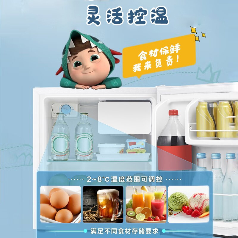 海信BC-45S/A冰箱图片
