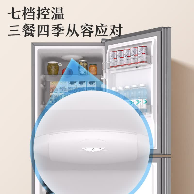 澳柯玛BCD-220NE冰箱图片