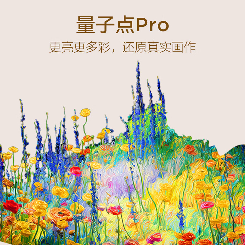 TCL 75T6M 75英寸电视图片