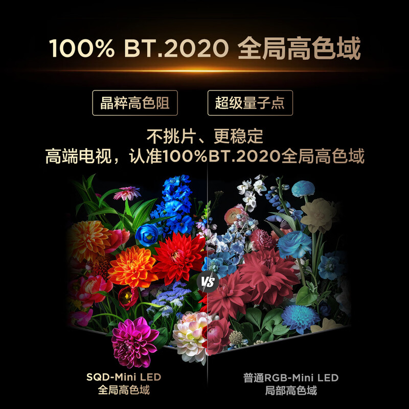 TCL 55Q9M Pro 55英寸电视图片