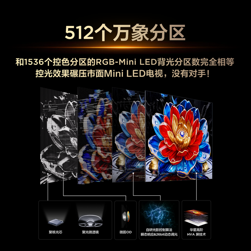 TCL 98T5M Plus 98英寸电视图片