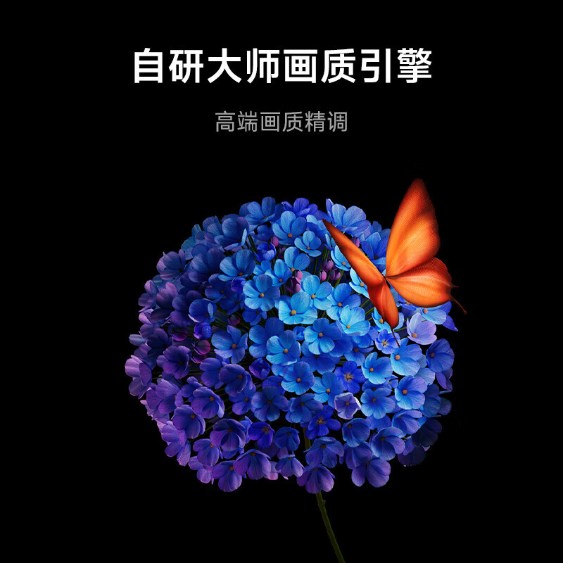 小米 L55MA-SPL 55英寸电视图片 小米 L55MA-SPL 55英寸电视图片