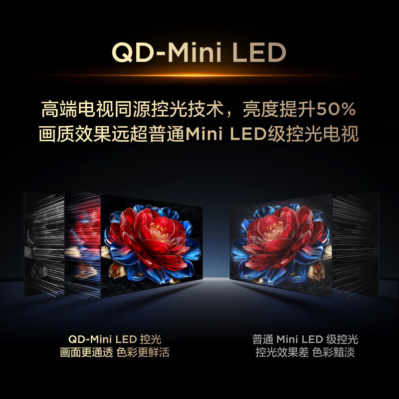 TCL 55T5M 55英寸电视图片