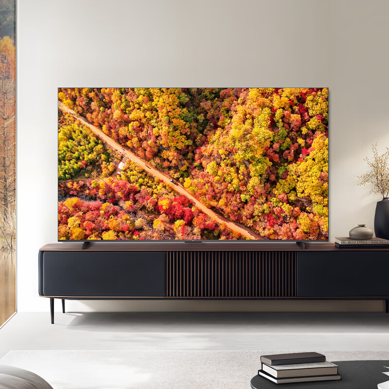TCL 98Q6G Mini 98英寸电视图片 TCL 98Q6G Mini 98英寸电视图片