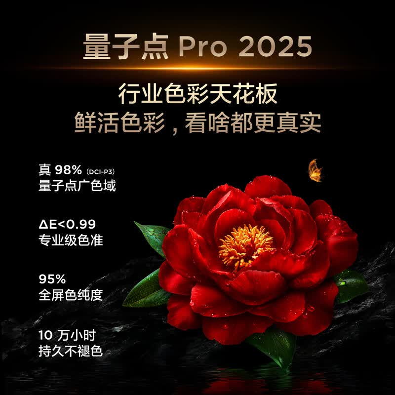 TCL 98Q10L Pro 98英寸电视图片 TCL 98Q10L Pro 98英寸电视图片