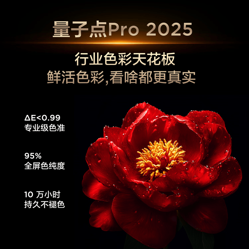 TCL 65T7L 65英寸电视图片 TCL 65T7L 65英寸电视图片