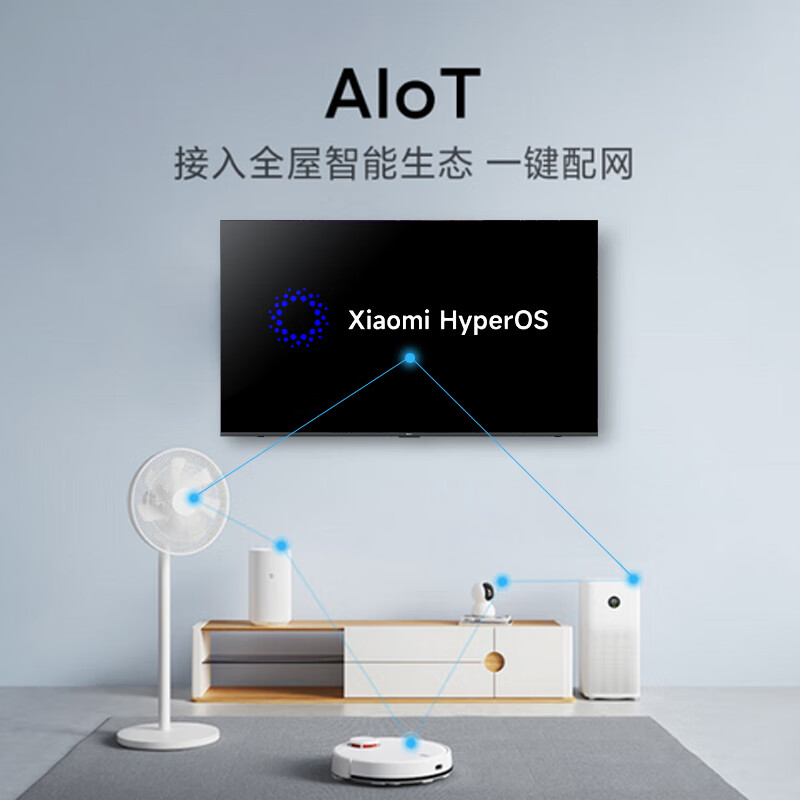 小米 L55RB-APE 55英寸电视图片