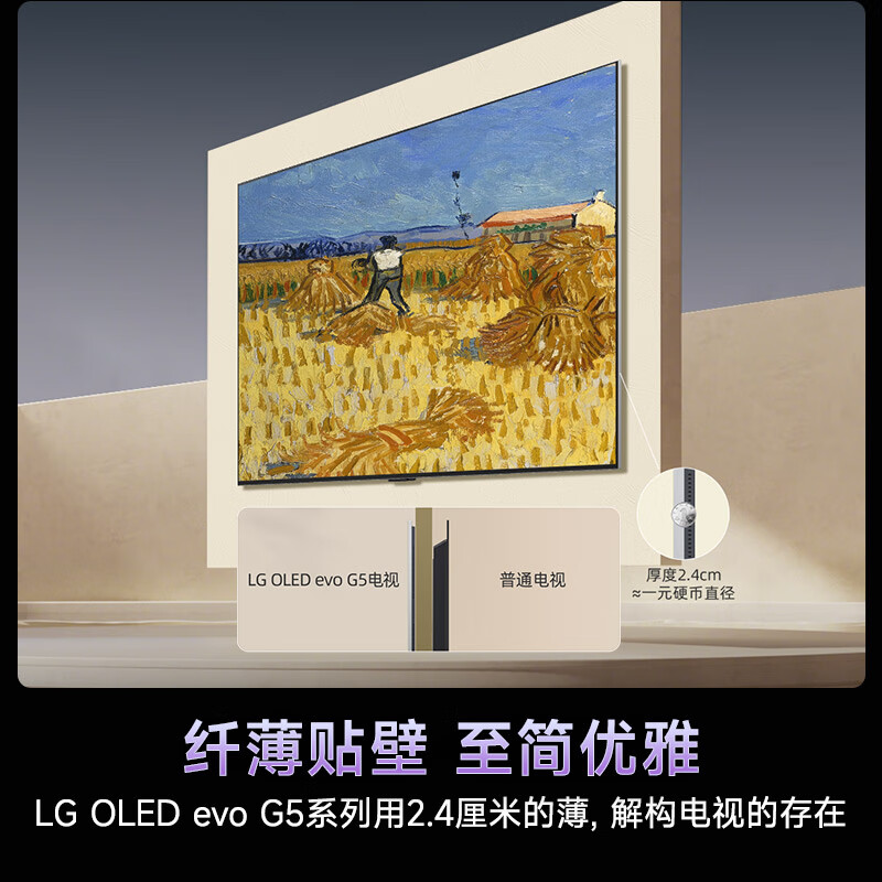 LG OLED65G5PCA 65英寸电视图片