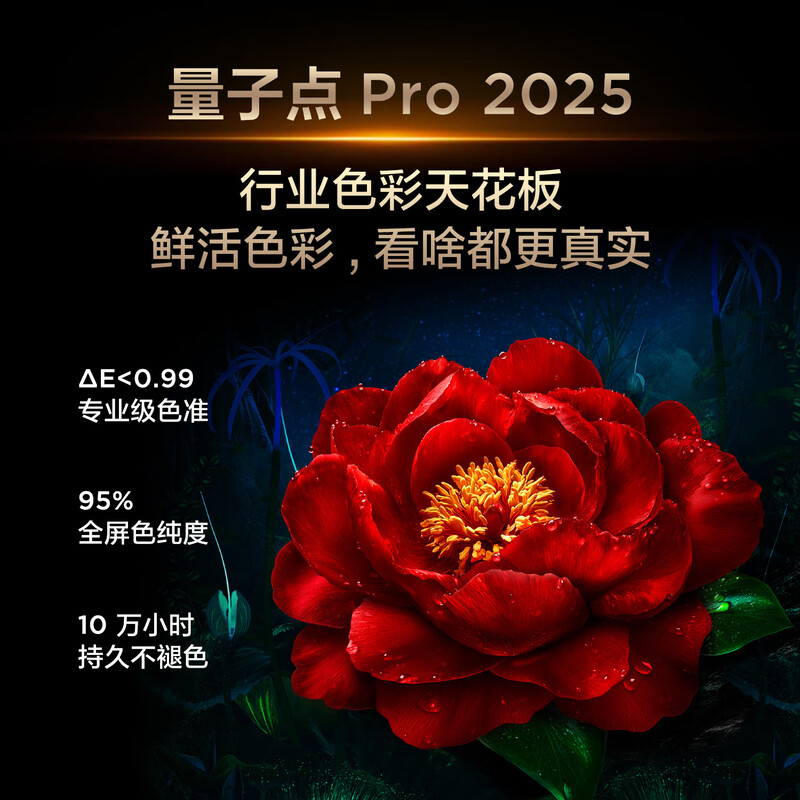 TCL 65Q9L Pro 65英寸电视图片 TCL 65Q9L Pro 65英寸电视图片