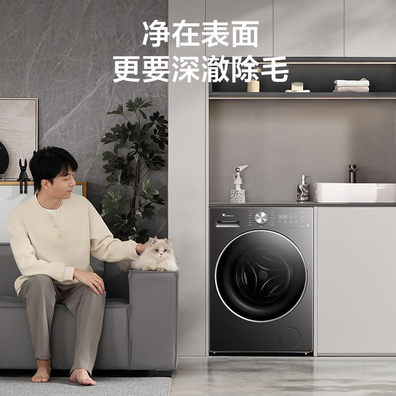 小天鹅TG10V628AIR洗衣机图片