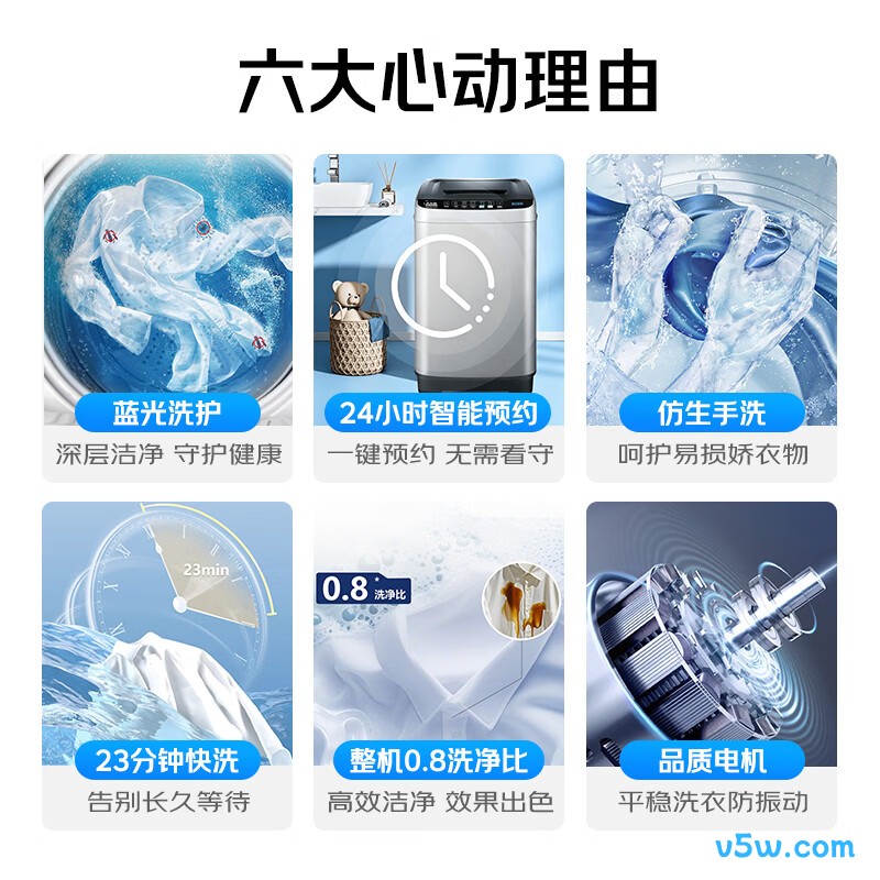 志高XQB65-818A洗衣机图片