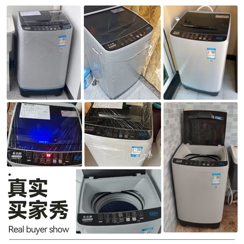 志高XQB65-818A洗衣机图片