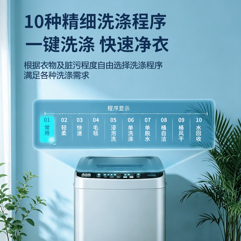 志高XQB65-818A洗衣机图片