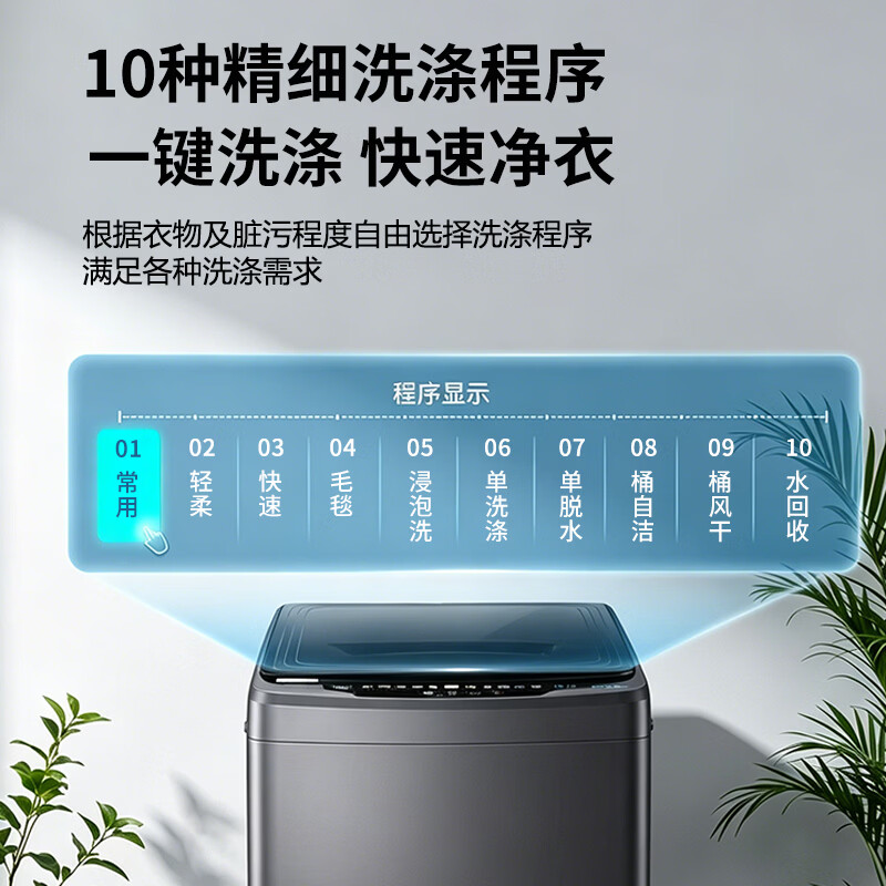 志高XQB120-118洗衣机图片