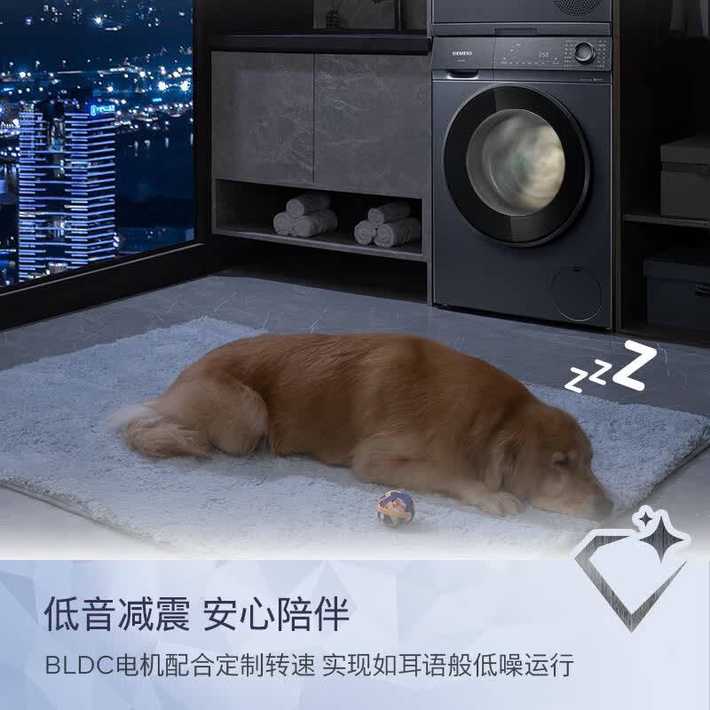 西门子WG52H2I10W+D11W洗衣机图片