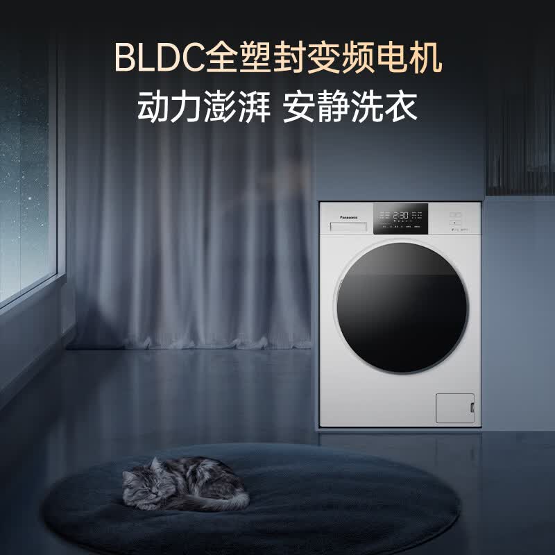 松下XQG100-81A4洗衣机图片