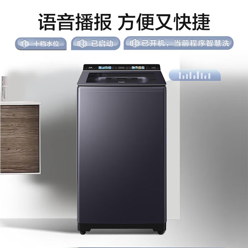 海尔XQS100-BE77L洗衣机图片
