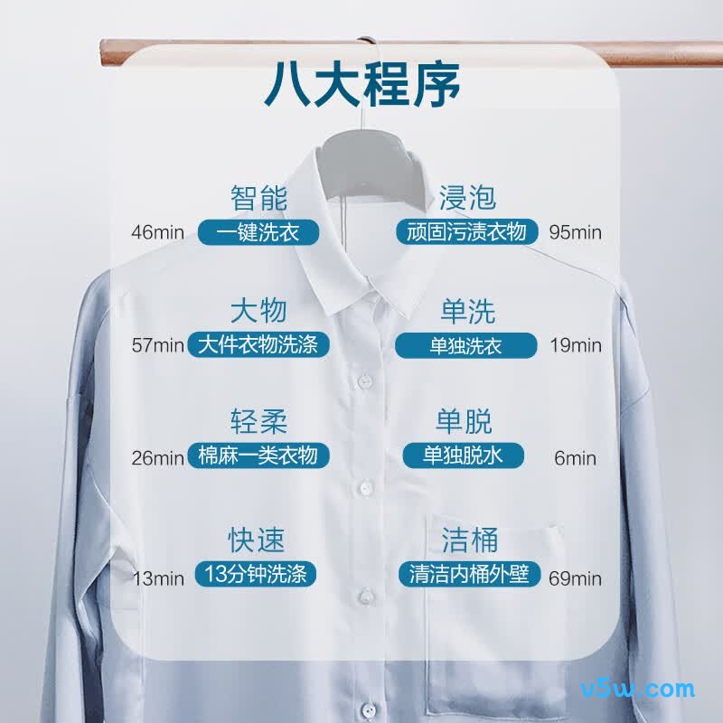 威力XQB100-10099洗衣机图片