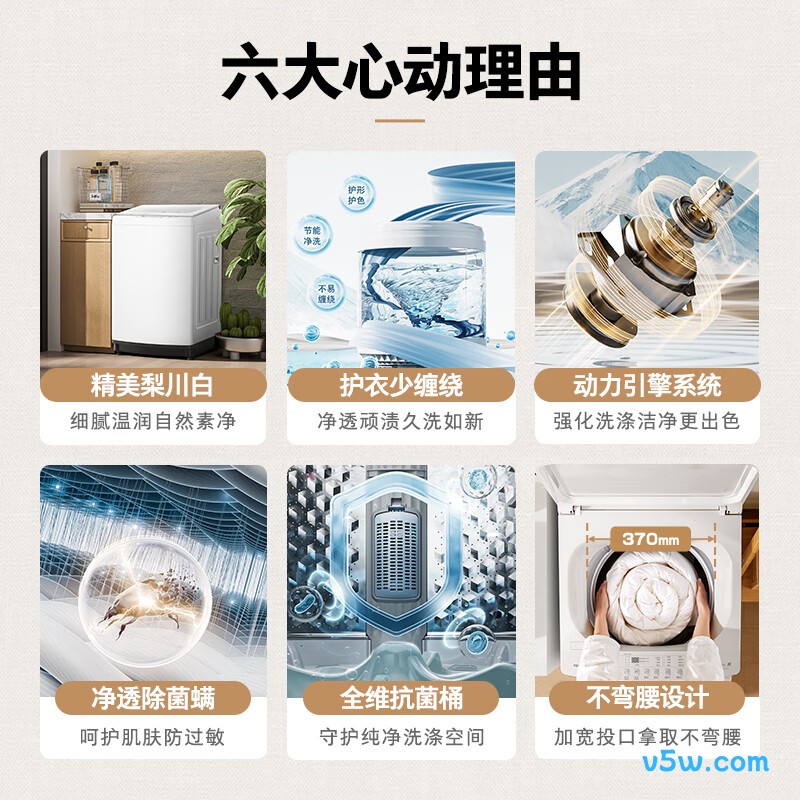 东芝DB-8T06洗衣机图片