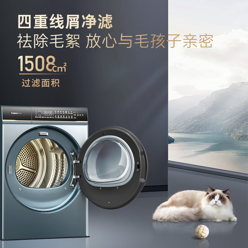 卡萨帝10LDALB+10FALB洗衣机图片
