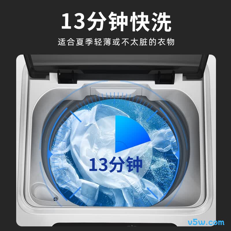 威力XQB100-10099洗衣机图片