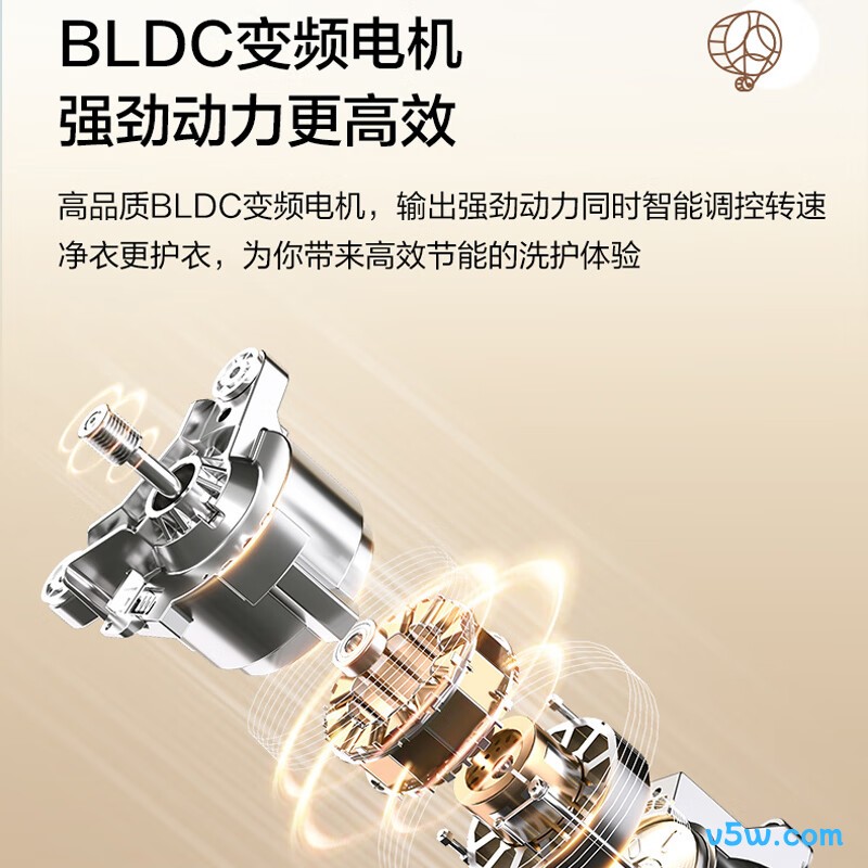 海尔XQG100-D28B洗衣机图片