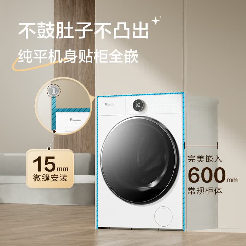 小天鹅TG10VE80洗衣机图片
