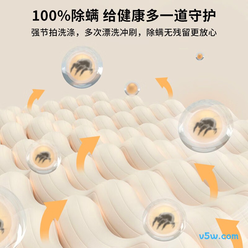 创维T100X洗衣机图片