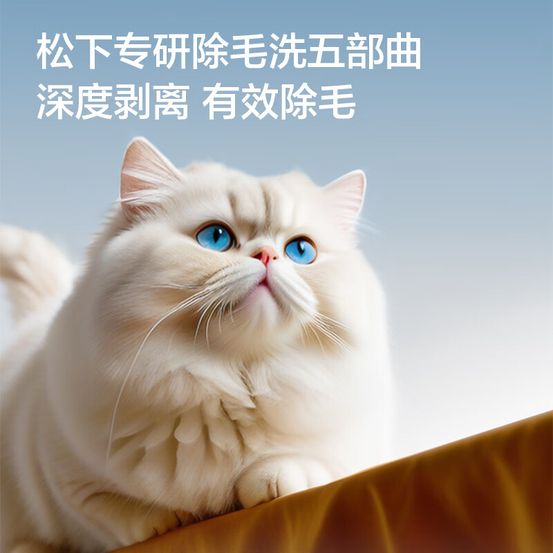 松下XQG100-8532N洗衣机图片