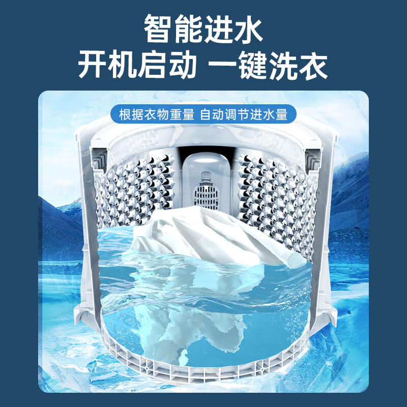 威力XQB100-10099洗衣机图片