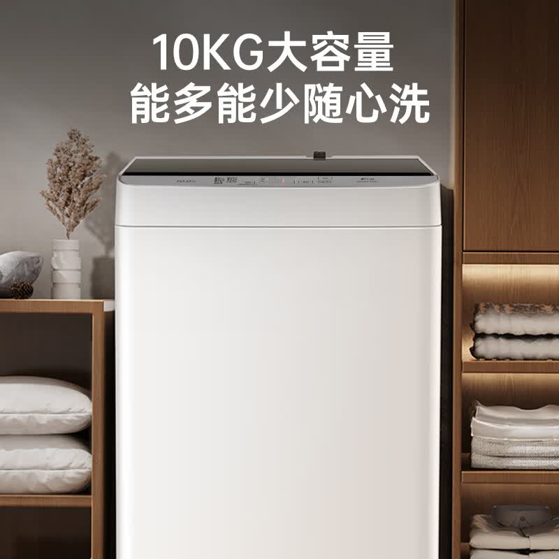 松下XQB100-8QF1洗衣机图片
