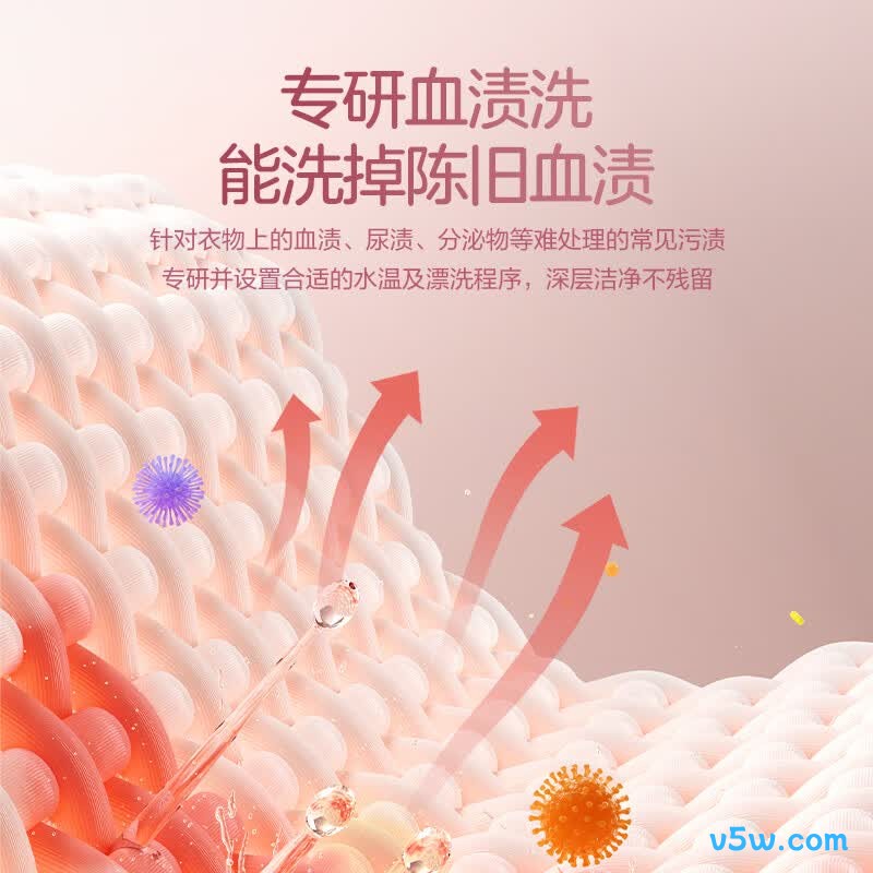 小天鹅TND5VI0E洗衣机图片
