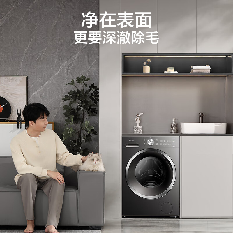 小天鹅TG10V628T洗衣机图片