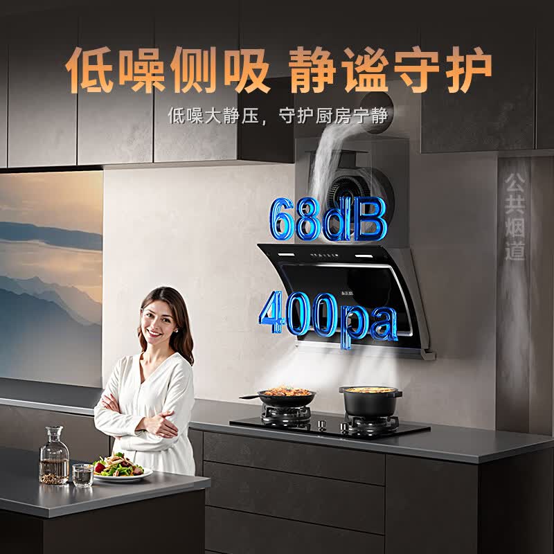 志高C909A油烟机图片