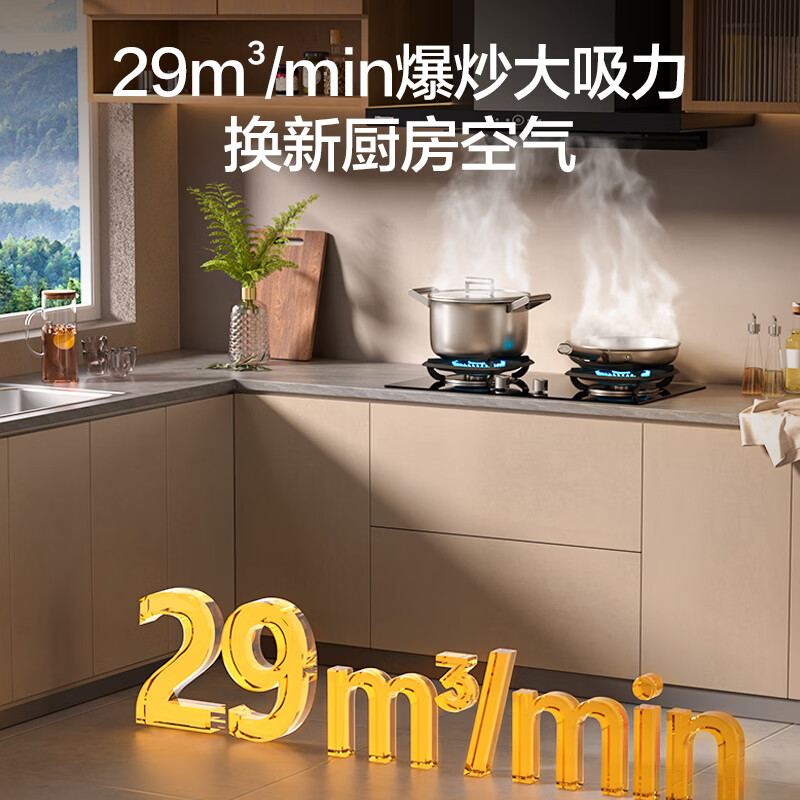 海信CXW-300-DT2Plus油烟机图片