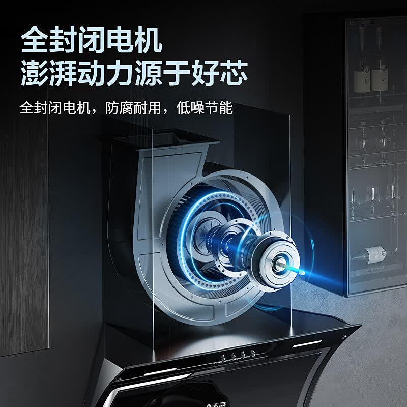 志高C03A油烟机图片