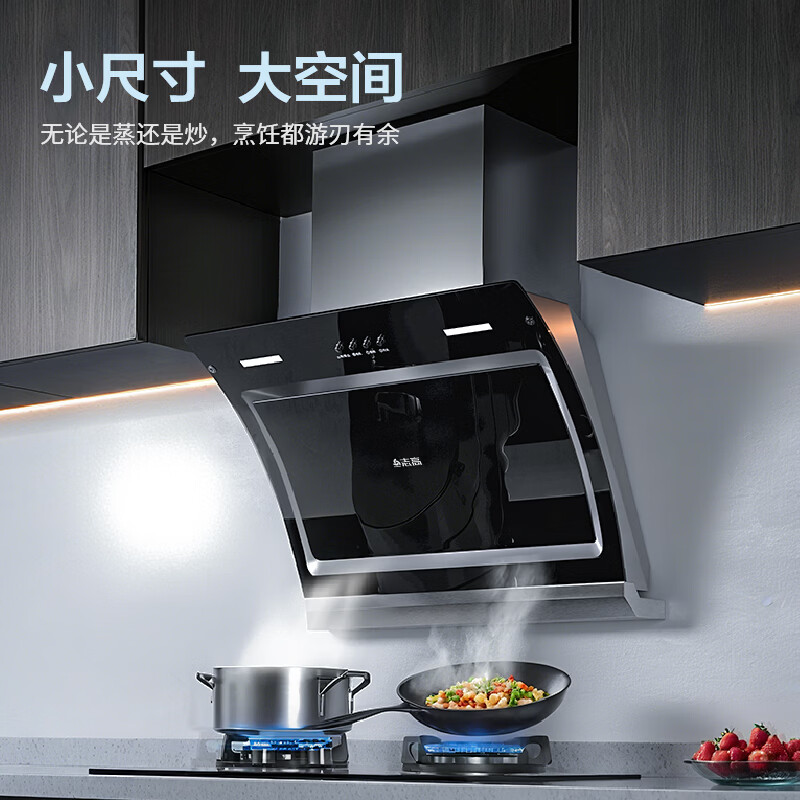 志高C03A油烟机图片