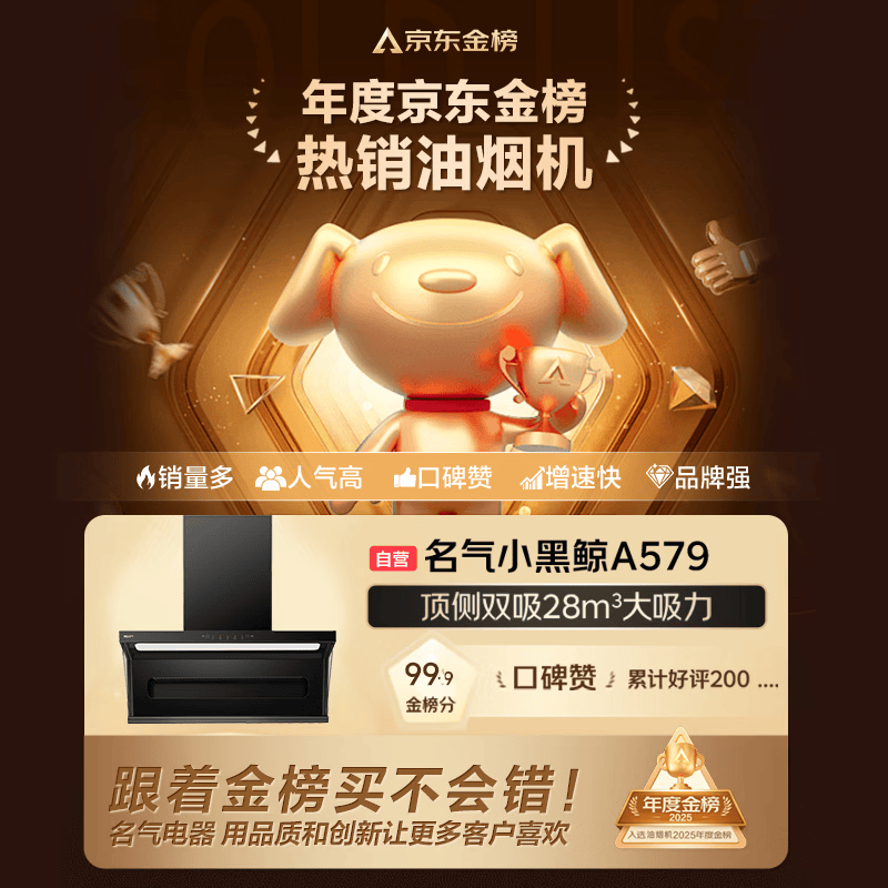 名气A579油烟机图片