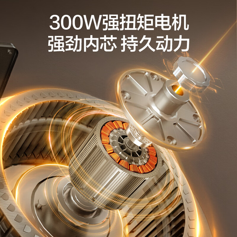海信CXW-300-DT2油烟机图片