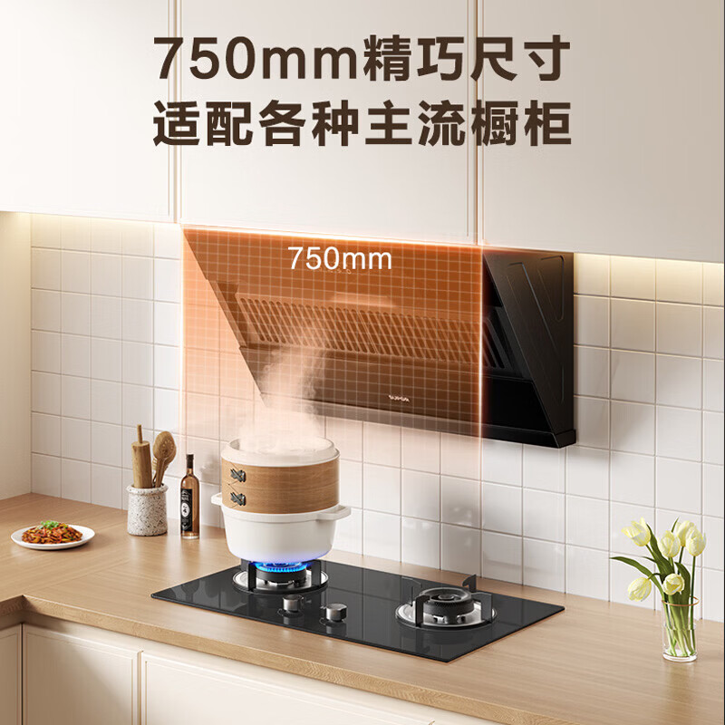 苏泊尔DJ07S+DB07S油烟机图片