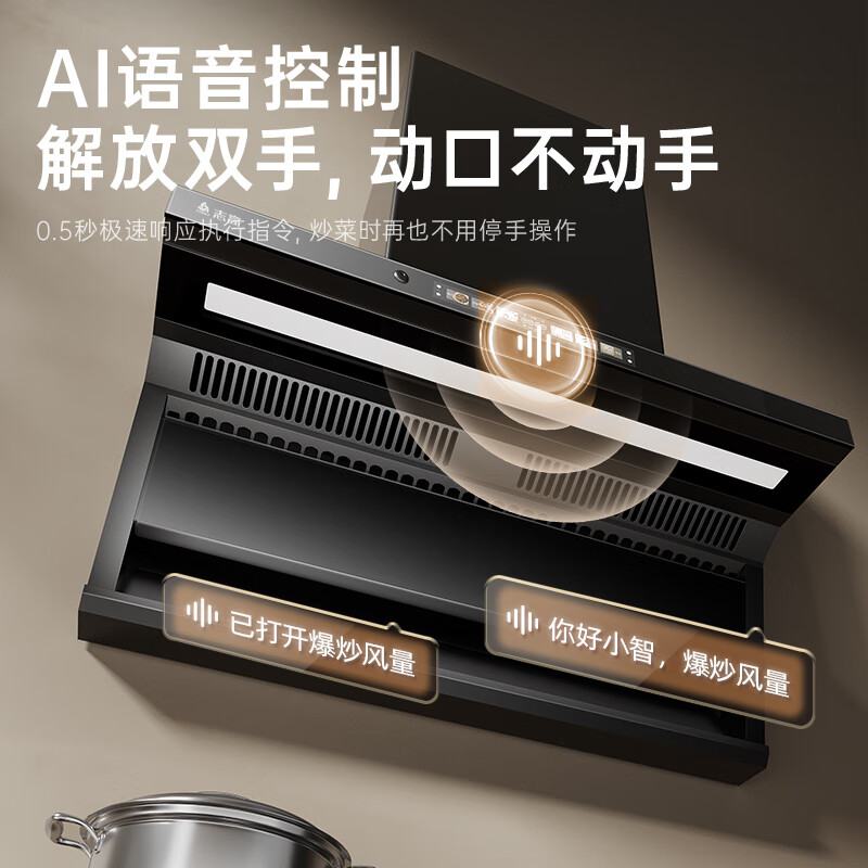 志高B36油烟机图片