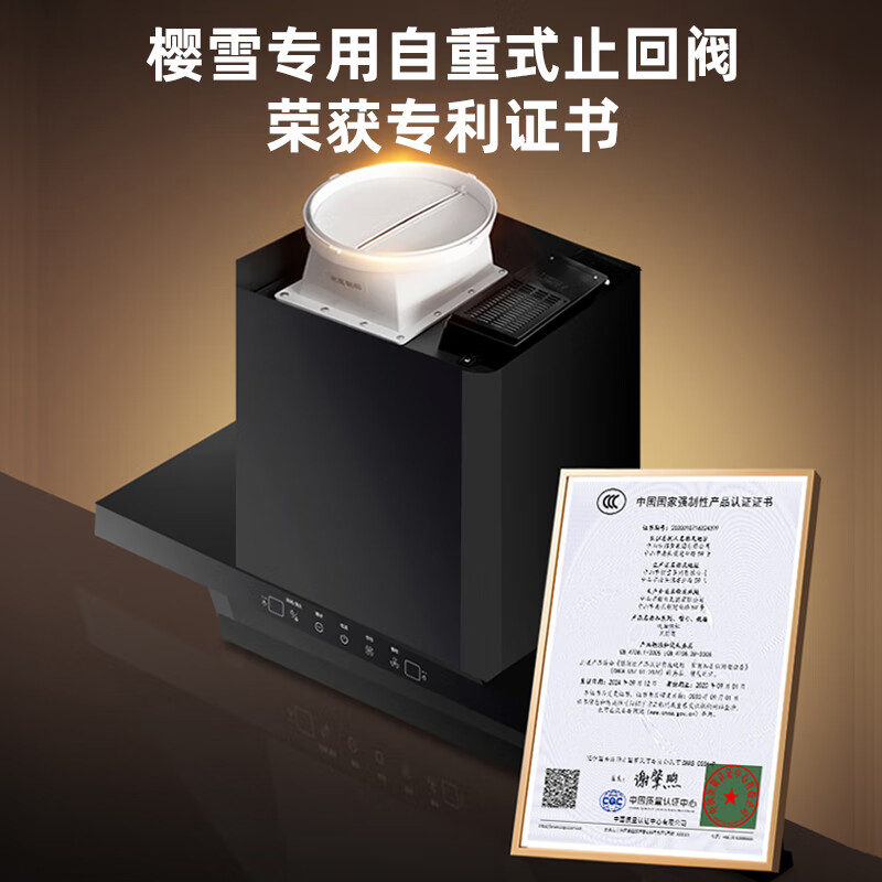 樱雪K2521+Q2520油烟机图片