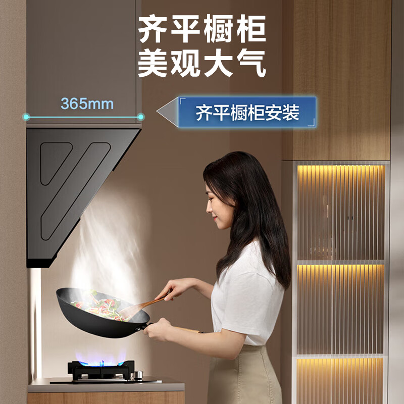 苏泊尔DJ13S油烟机图片