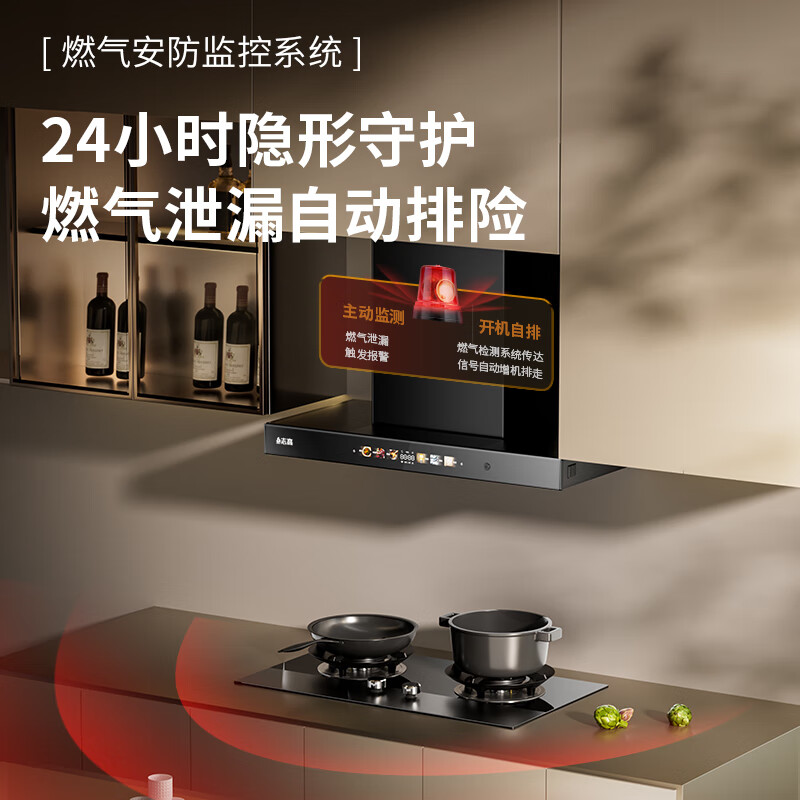 志高29C油烟机图片