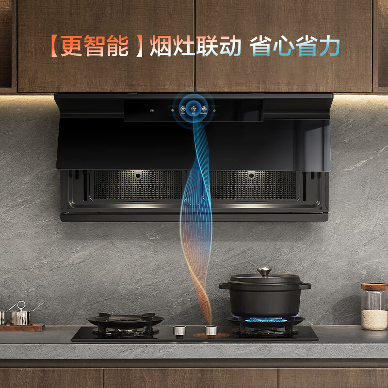 老板D2+D2+D2P油烟机图片