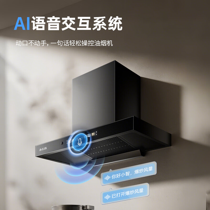 志高TB2油烟机图片