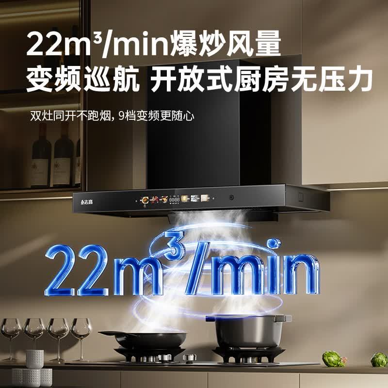 志高29C油烟机图片