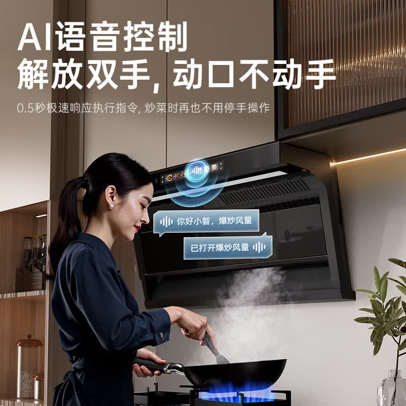 志高A62油烟机图片