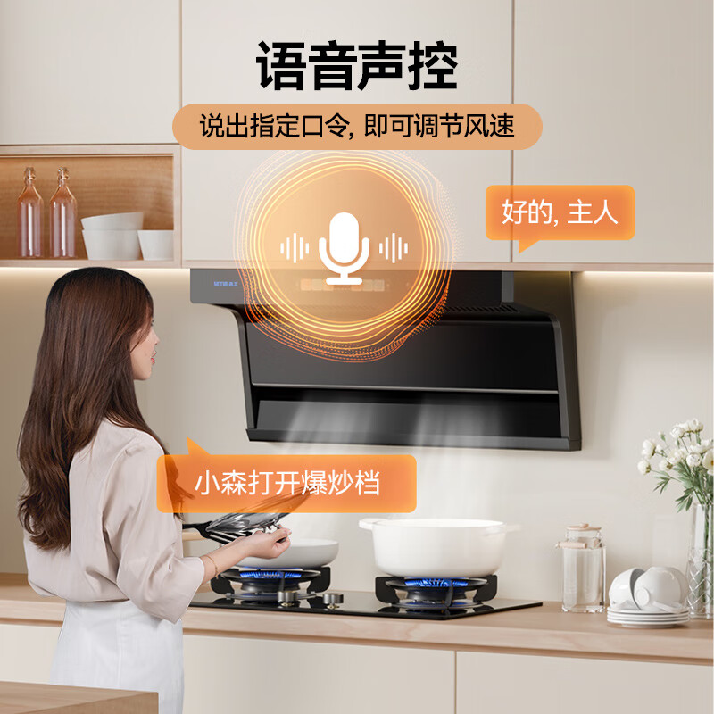 森太B929BYL+TA19E油烟机图片